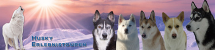 Husky Erlebnistouren